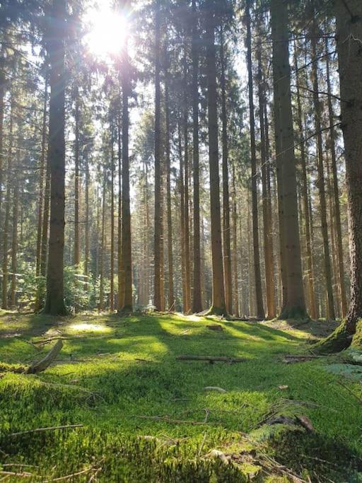 Gite N° 20, En Pleine Nature, Frontalier Signy-le-Petit Kültér fotó